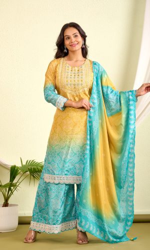 Beautiful Ombré Palazzo Set